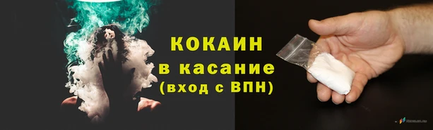 трава Балахна