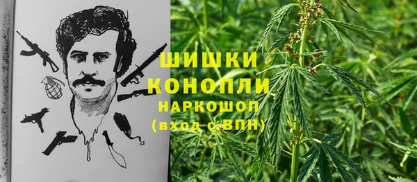 трава Балахна