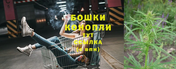 трава Балахна